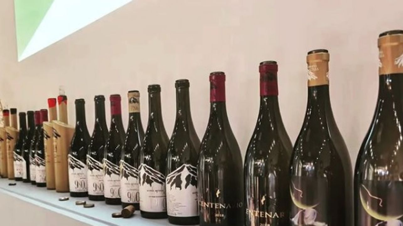 Vinprovning på Azienda Agricola Sciara