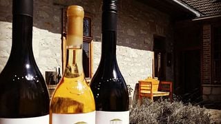 Degustación de vinos premium en Karádi-Berger