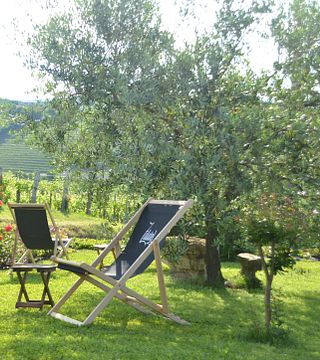 Degustação de vinhos e tour na vinícola Zalatel