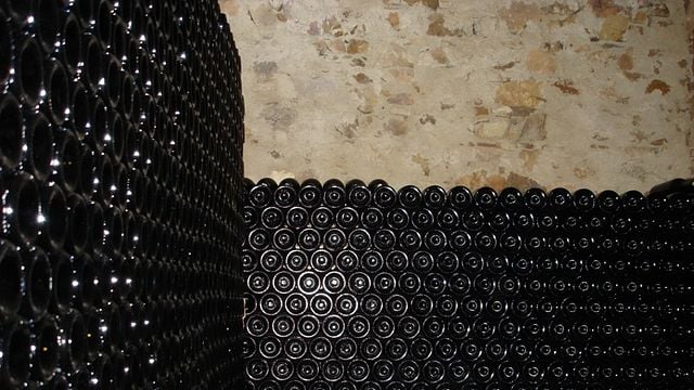 Degustação de vinhos e passeio em Medeiros