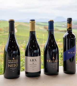Bodega Tesalia