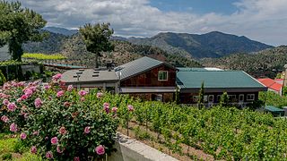 Santa Irene Winery