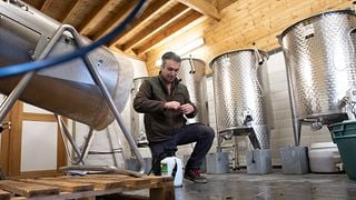 Koudekot Wijnmaker