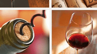 Rhône Valley Gems: A Domaine de Cassan Tasting