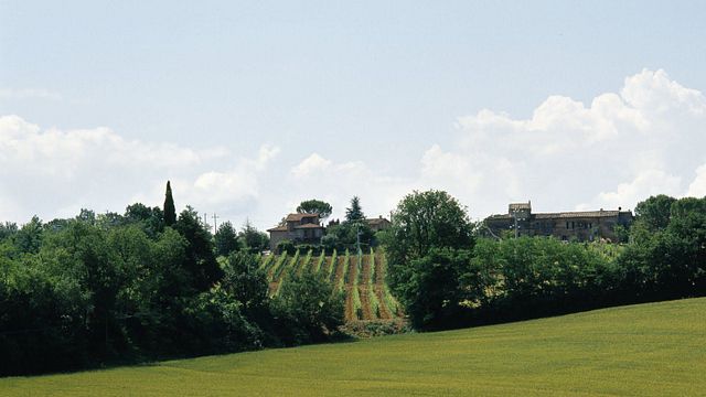 Poggio Salvi 