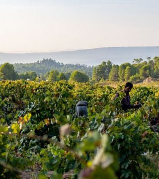 Bodega Finca Cor Vi
