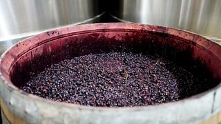 Santalba Winery