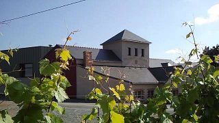 Degustazione di vini e tour al Domaine De La Bougrie
