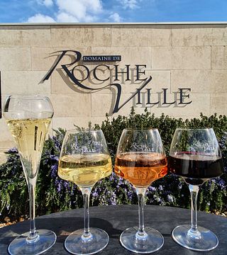 Degustazione di vini e tour al Domaine de Rocheville nella Valle della Loira