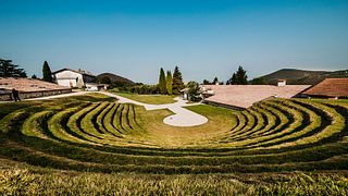 El Camino de la Uva en la Enoteca Monte Fasolo