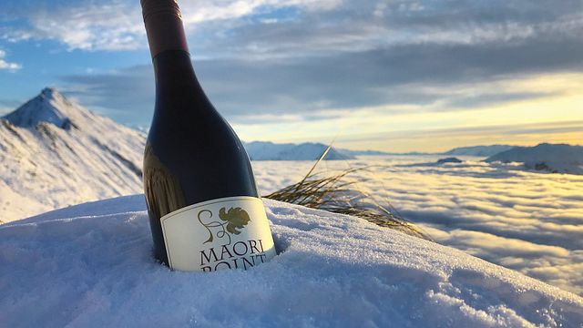 Weinprobe und Tour bei Maori Point Wines