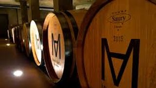 Catalonia's Priorat Heights: Marco Abella Wine & Vineyard Journey