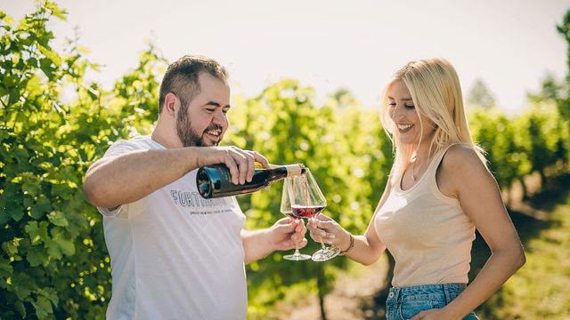 Degustação de vinhos e tour na vinícola Tsarev Brod