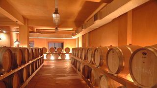 Il meglio di Creta | Degustazione di vini presso Scalarea Estate Creta