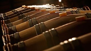 Weinprobe und Tour bei Costaripa