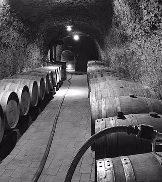 Bodega El Fabulista