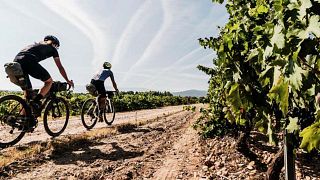 Experiencia de vino y bicicleta