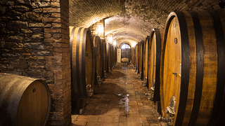 Classic Organic Wine Tour & Tasting
