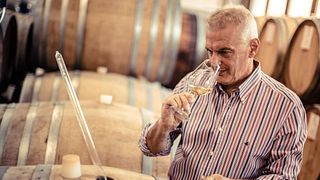 Scarbolo Winery