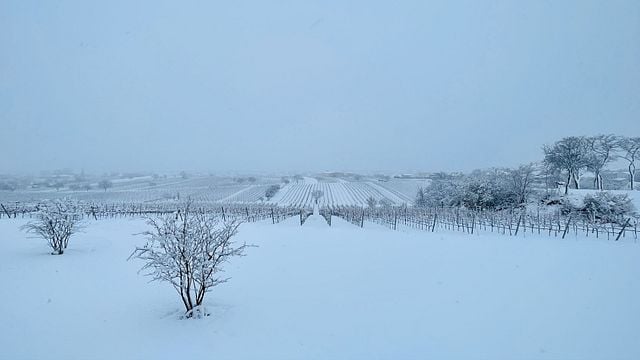 Cata de vinos con una vista espectacular