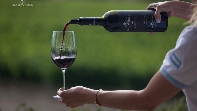 Premium Wine Tasting and Tour at Bodega DiamAndes