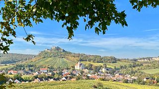Excursion privée d'une journée autour du vin 