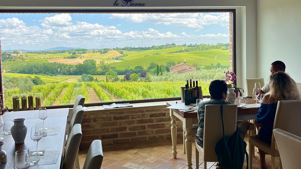 Taste 4 Montepulciano Wines on a Tuscan Vineyard Tour