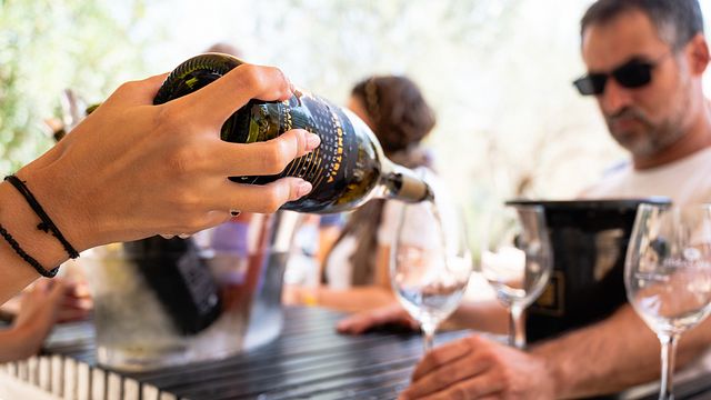 Degustazione di vini e tour presso l'azienda vinicola Lafazanis