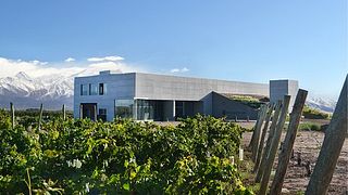 Visita y Cata de Vinos por la Bodega | Don Manuel Villafañe