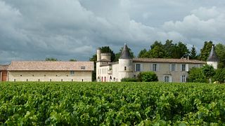 Taller de vinos y chocolates en el Château Cruzeau