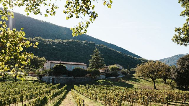 Chiesa del Carmine 