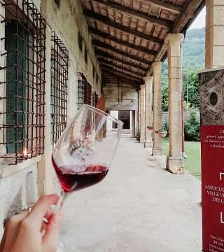 "Interlude": Visit and wine tasting in the Berici Hills