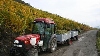 Weinprobe im Weingut P.Stettler-Söhne