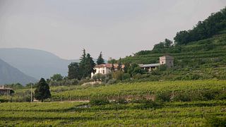 Weinprobe und Tour im Corte Fornaledo