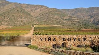 Viña Koyle: A Legacy of Winemaking