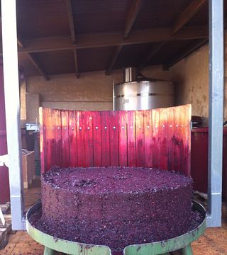 Valencia Vineyard Tour & Wine Tasting at Sexto Elemento