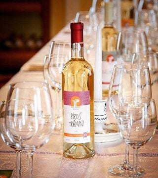 Dégustation de vins au Domaine Takacs Winery