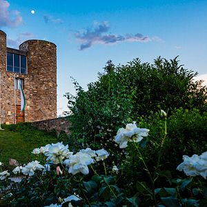 Une expérience de vacances au Château Copsa