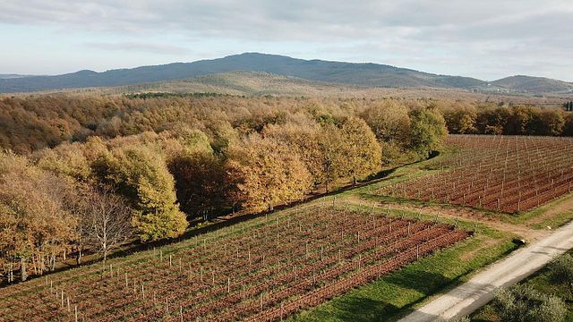Den perfekta kombinationen av "Kök i källaren" på Pomario