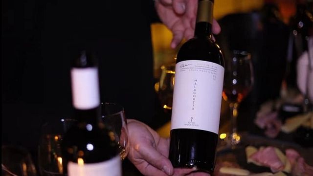 Cata de vinos y visita guiada a la finca Manolesakis