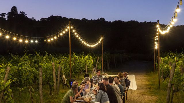 Jantar nas Vinhas na Fattoria La Palagina