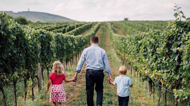 Weingut Alphart