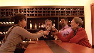 Visite du vignoble Centanarios et dégustation de vins