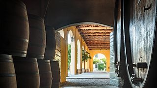 Les vins de Piave et les saveurs locales