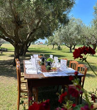 Cantina Mazzarosa: A Legacy of Sustainable Winemaking
