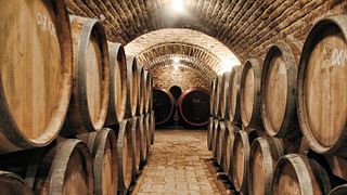 Cata de vinos en Vida Péter, Szekszárd