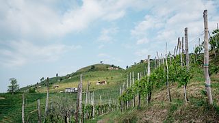 Azienda Agricola Follador Francesco