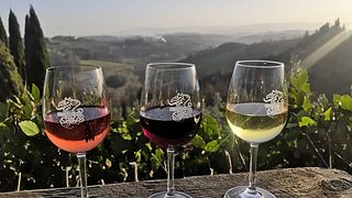 Tuscan Wine & Olive Tour at Tenuta Barbadoro