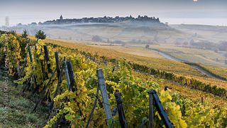 Wine Tasting Experience at Domaine Eblin-Fuchs