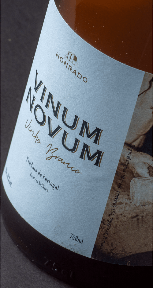 Vinum Novum Branco-04
